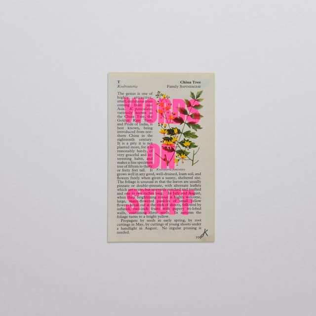 Words on stuff - Flowers 04 (pink)