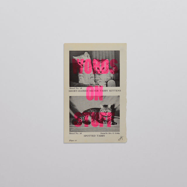 Words on stuff - Cats 01 (pink)