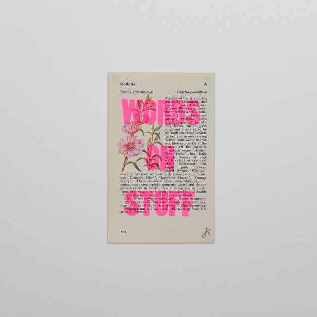 Words on stuff - Flowers 01 (pink)