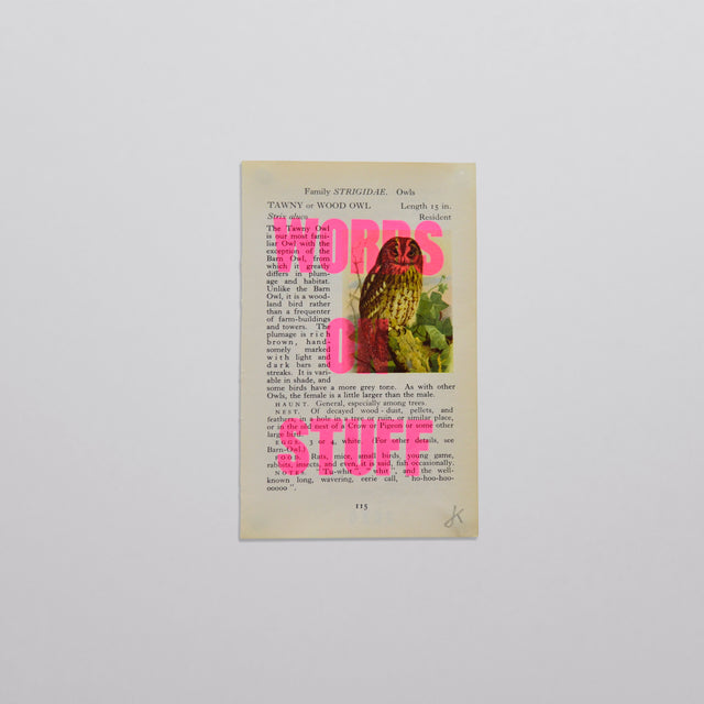 Words on stuff - Birds 04 (pink)