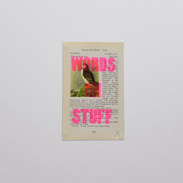 Words on stuff - Birds 02 (pink)