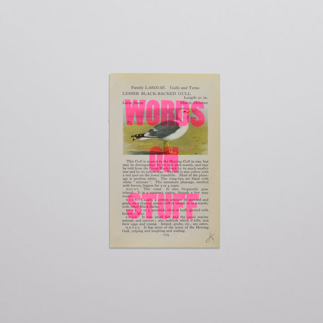 Words on stuff - Birds 03 (pink)