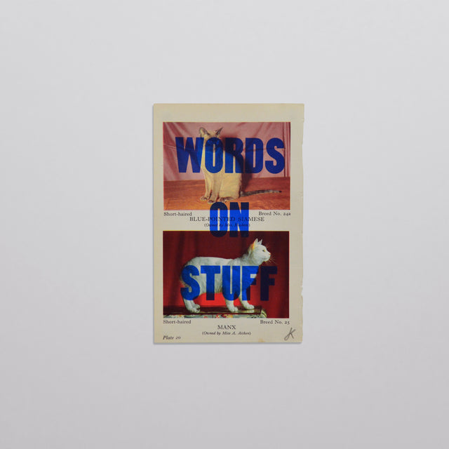 Words on stuff - Cats 04 (blue)