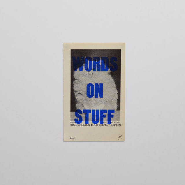 Words on stuff - Cats 05 (blue)
