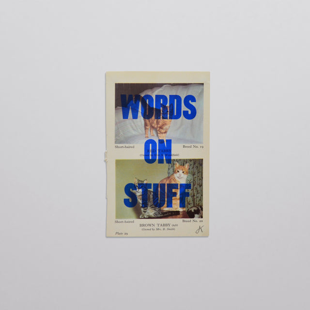 Words on stuff - Cats 01 (blue)