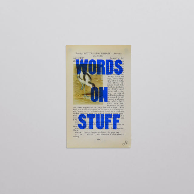 Words on stuff - Birds 02 (blue)