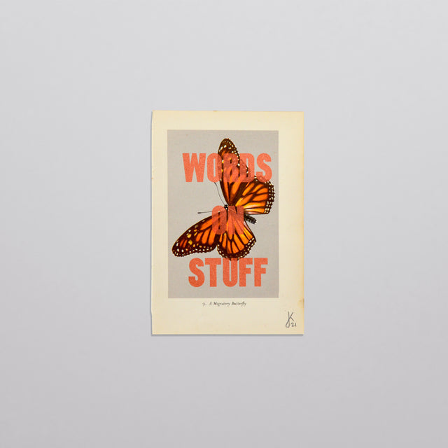 Words on stuff - Butterflies 04