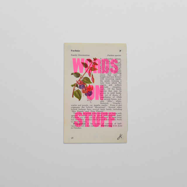 Words on stuff - Flowers 02 (pink)